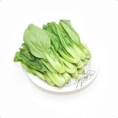 小青菜 500g/份